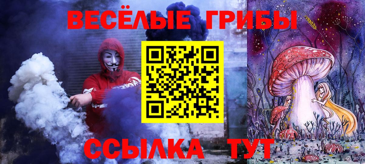 Галлюциногенные грибы GOLDEN TEACHER  где купить наркоту  Лосино-Петровский  Вход с VPN 